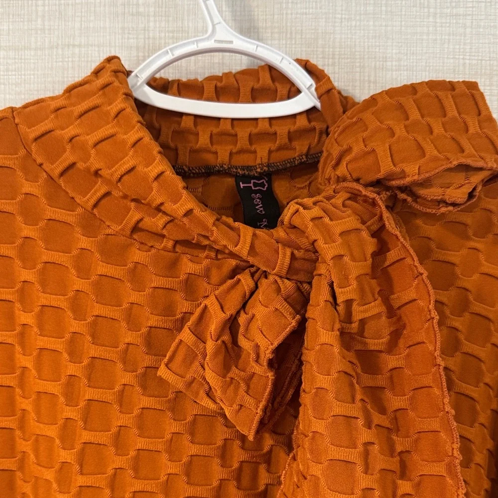 Elegant Orange honeycomb knit custom top size 3x-4x - Picture 2 of 3